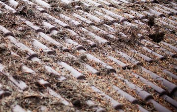 Fetterangus roof cleaning companies