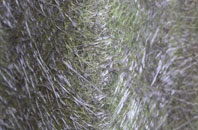 Fetterangus fibreglass roof work